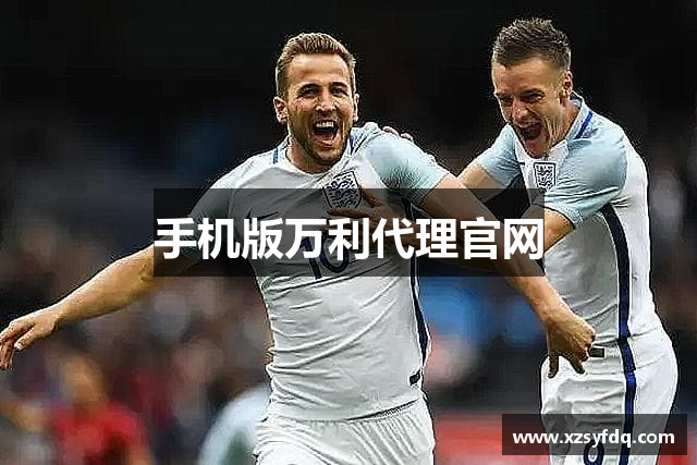 手机版万利代理官网
